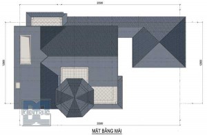 Tư vấn thiết kế biệt thự trên đất 900m2