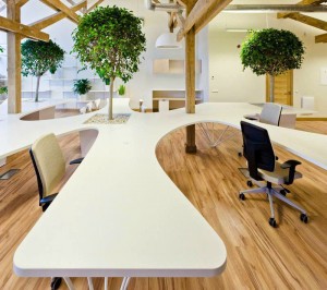 Tư vấn thiết kế phòng làm việc với sắc màu hài hòa