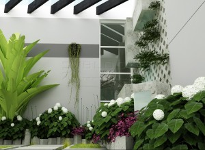 Thiết kế giếng trời hợp phong thủy