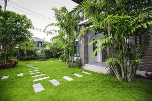 Thiết kế nhà đẹp với sân vườn dịu êm