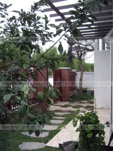 Thiết kế cải tạo biệt thự 3 tầng 223m2