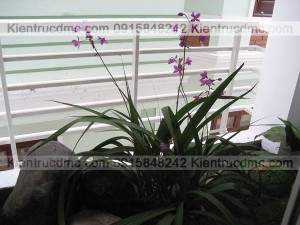 Thiết kế cải tạo biệt thự 3 tầng 223m2