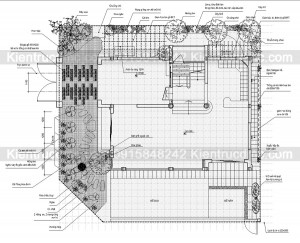 Thiết kế cải tạo biệt thự 3 tầng 223m2
