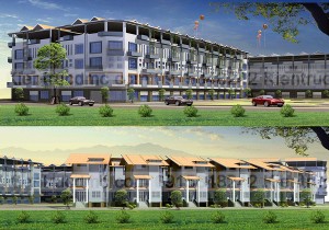Thiết kế quy hoạch ao cá mả mực