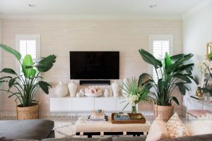 Cây xanh trong trang trí thiết kế nhà phố hiện đại